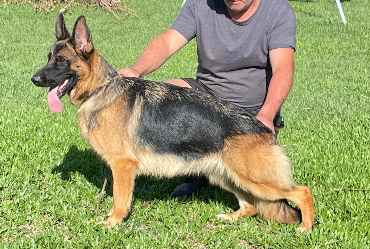 Noche von verbunden, hija de King von Cabot Land