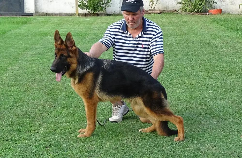 gerry von verbunden gerry von verbunden, hija de Febo y joy vierhunder hertz