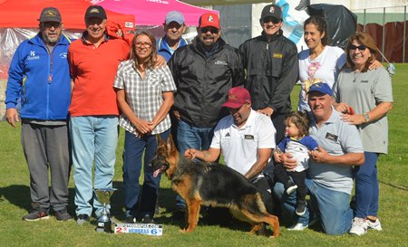 Nara der blauen hunde, Vice Sieger Argentina 2025, hija de Kylian von Nesi y Rumba von Verbünden